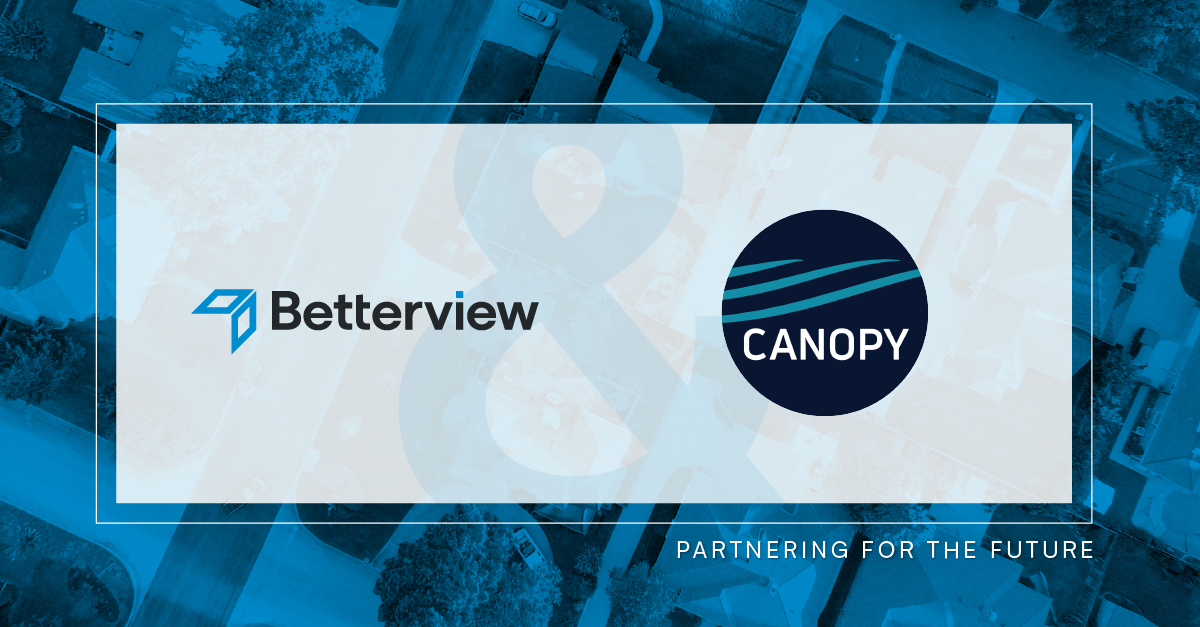 bv-partners-canopy